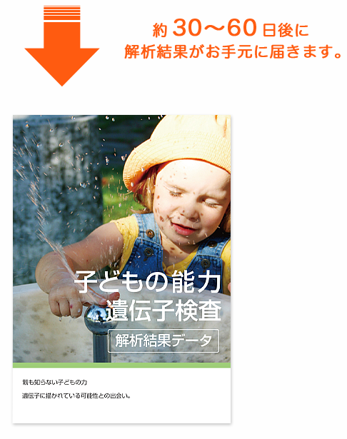 約30〜60日後に解析結果がお手元に届きます。