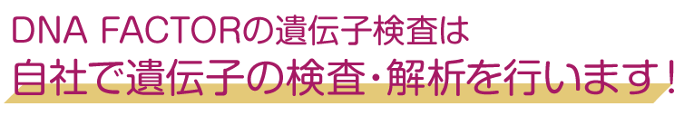 当社は検査機関と共同開発を行いました！