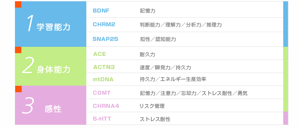 解析遺伝子一覧