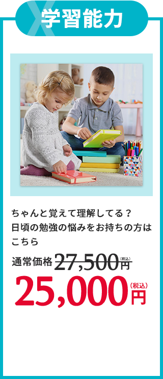 XType学習能力