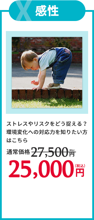 XType感性