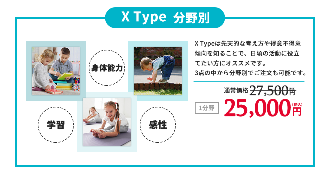 XType分野別