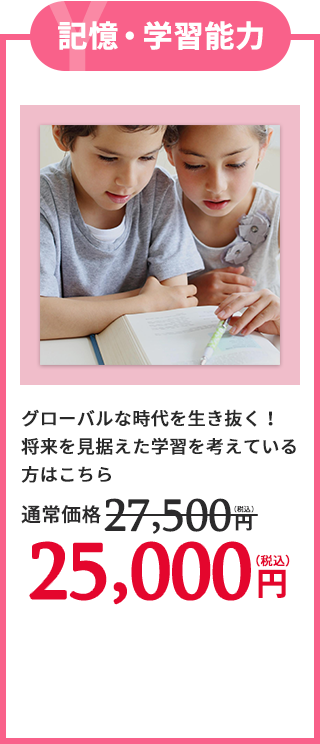 YType記憶・学習