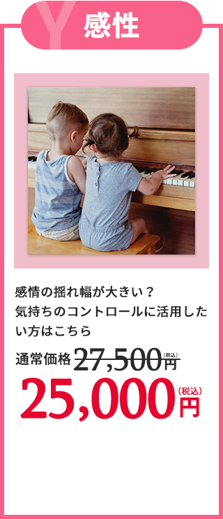 YType感性