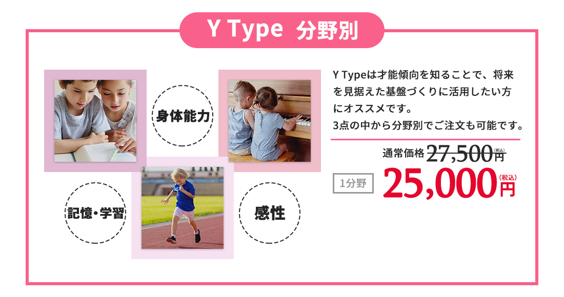 XType分野別